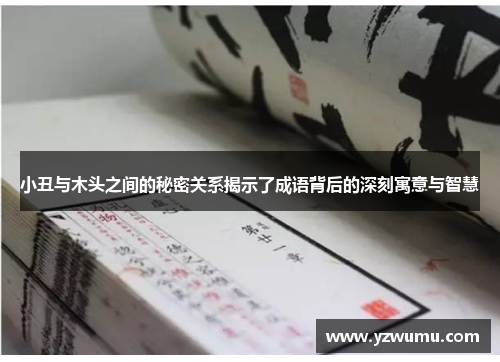 小丑与木头之间的秘密关系揭示了成语背后的深刻寓意与智慧